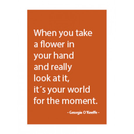 Magnet/When you take a flower